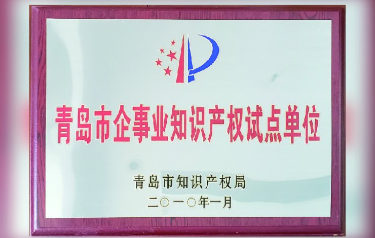 Intellectual Property Pilot Organization of Qingdao