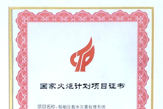 China Torch Program